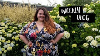 DIY Succulent Wreath  A Wedding  VLOG 026 [upl. by Ellesor]