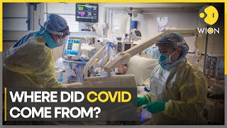 Covid origin China began developing two vaccines before official outbreak  English News  WION [upl. by Nylloc]