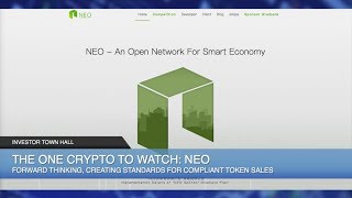 Project ICO CEO Steve Hyduchak Talks PlexCoin Scam Shutdown Smart Contracts amp NEO [upl. by Braun]