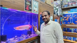 Paroon Shark Fish and Super Red Arowana Fish at Karnataka Aquarium [upl. by Cerys]