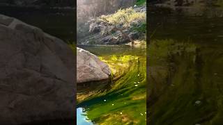 Natural beauty in Taif [upl. by Eivod]