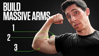 The Surest Way to Get Big Arms Fast Biceps and Triceps [upl. by Yojal]