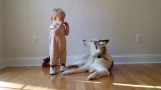 Baby plays harmonica to singing dog [upl. by Childs]