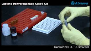 Lactate Dehydrogenase Assay Kit [upl. by Anissej844]