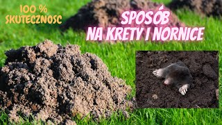 Jak pozbyć się kretów nornic i innych [upl. by Ettelegna]