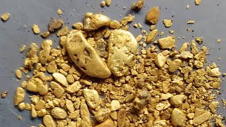 GOLD RUSH TRADITIONAL GOLD PANNING GOLD MINING GOLD DISCOVERY [upl. by Tawnya]