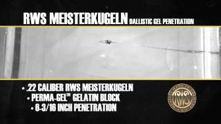 RWS Meisterkugeln Pellet  Ballistics Gel Penetration test [upl. by Notterb718]