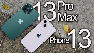 iPhone 13 Pro Max Vs iPhone 13  DIFERENCIAS ¿Cual es MEJOR COMPRA 🧐 [upl. by Gentry784]