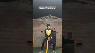 Stump Drill At Home  cricket msdhoni cricketshorts [upl. by Orford]