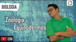 Biologia  Zoologia Equinodermos [upl. by Aklog]