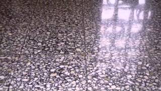 Terrazzo Floor Restoration amp Polishing Florida [upl. by Odranar470]