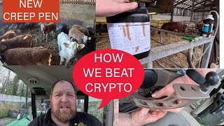 HOW TO BEAT CRYPTOSPORIDIUM  CALVING UPDATE amp MORE [upl. by Nerra973]