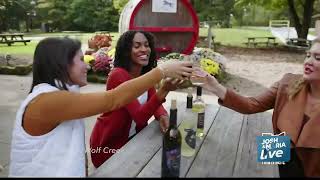 Wine Wednesday Ohio Wine History  Cribbs in the CLE Josh amp Maria LIVE  WOIO Channel 19 [upl. by Otrevire]