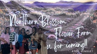 ATOK BENGUET NORTHERN BLOSSOMS FLOWER FARM amp DAY 3 IN BAGUIO PH [upl. by Kassel]