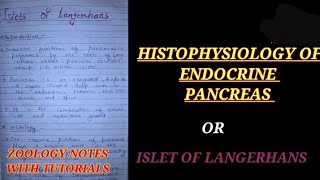 HISTOPHYSIOLOGY OF ENDOCRINE PANCREAS IN HINDI ISLET OF LANGERHANS zoologynotes insulin vbu [upl. by Rice895]