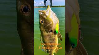 Isca FIRESTICK da INTERGREEN cor VLA tucuna fishing [upl. by Ydeh709]