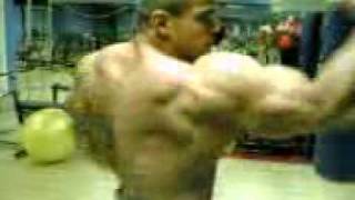 Csaba Kocsis BODYBUILDING [upl. by Rivalee]