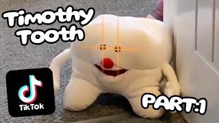 Timothy Tooth Tiktok Compilation  Part 1 [upl. by Ymij]