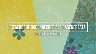 Begehbare Bodendecker als Rasenersatz 10 geeignete Pflanzen [upl. by Anauqat]