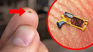 World’s Smallest Nerf Gun Shoots an Ant [upl. by Einalem818]