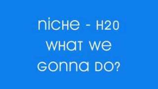 Niche  H20  What We Gonna DoWhats It Gonna Be [upl. by Wake226]