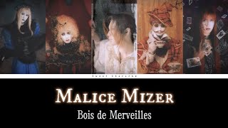 Malice Mizer  Bois de Merveilles  Romaji Lyrics  English Subtitles [upl. by Hamitaf925]