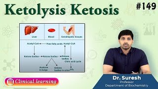 149 Ketolysis Ketosis [upl. by Nimoynib]