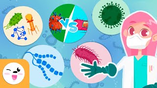 Microorganisms  Compilation Video  Bacteria Viruses and Fungi  Explanation for Kids [upl. by Utas]