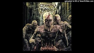 Extermination Dismemberment  Butcher Basement  2010  Full Album [upl. by Laehpar436]