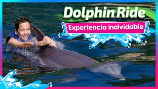 Interacción con delfines Dolphin Ride l Delphinus [upl. by Gideon]