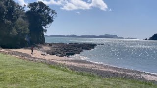 Taiji at Paihia [upl. by Eaves]