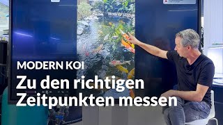 Ab wann ist mein Filter zu klein  Modern Koi Blog 6746 [upl. by Kosse]