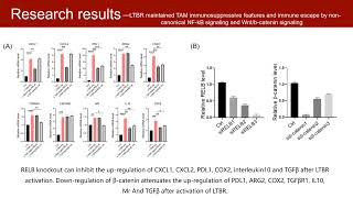 iMeta  LTBR as a immune checkpoint of tumorassociated macrophages for cancer immunotherapy [upl. by Fennessy63]