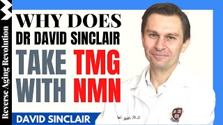 Why Dr David Sinclair Takes TMG With NMN  Dr David Sinclair Interview Clips [upl. by Airdnahs]