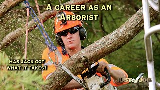 Arborist Careers [upl. by Romie710]