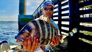 LEFT THEM BITING  Bridge Sheepshead Fishing [upl. by Divadnoj]