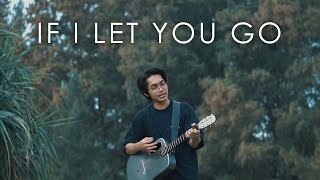 Westlife  If I Let You Go Acoustic Cover by Tereza [upl. by Traver906]