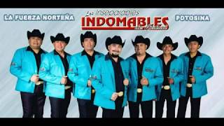 La Bronca  Los Indomables de Cedral En Vivo [upl. by Ahtebat106]