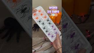 SPIDER ICE CUBES 🕷️🧊 An easy Halloween DIY halloweendiy halloweenideas [upl. by Nov558]