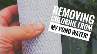 Removing chlorine from my pond water [upl. by Nauqet]