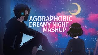 【COVER】Agoraphobic x Dreamy Night  Mashup [upl. by Bruni]