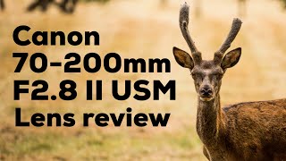 Canon 70200mm f28 L IS II USM Real world review  with sample photos [upl. by Dazraf]