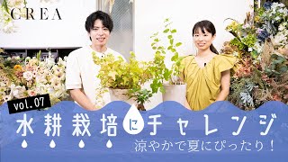 【夏の観葉植物アレンジ動画】初心者でも簡単！ ガジュマル、アイビー、ミントの水耕栽培に挑戦／CREA連載「ブルームカレンダー」YouTube版 [upl. by Euginom]