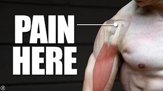 Biceps Tendinopathy  Tendinitis  Anterior Shoulder Pain Rehab Education amp Exercises [upl. by Farley]