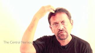 Tariq Faridi on the History and Science of Chiropractic Part 1mov [upl. by Adnohsad83]