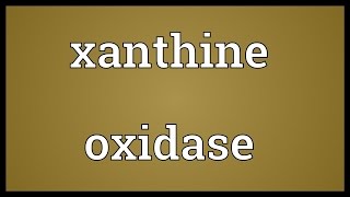 Xanthine oxidase Meaning [upl. by Thorny969]