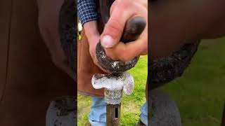 Expert Horseshoe Repair amp Nailing  Ensuring Ultimate Comfort for Horses horse part 1 [upl. by Astto]