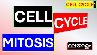 Cell Cycle Malayalam Mitosis Malayalam Cell Cycle Phases in Malayalam [upl. by Ahseet335]