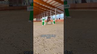 Springtraining mit Dressurpferden 2 springreiten pferdeausbildung reitsport pferde Inleobo [upl. by Azpurua]