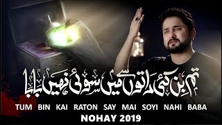 Nohay 2019  Tum Bin Kai Raaton Se Main Soye Nahi Baba  Syed Raza Abbas Zaidi  Bibi Sakina Noha [upl. by Dowd]